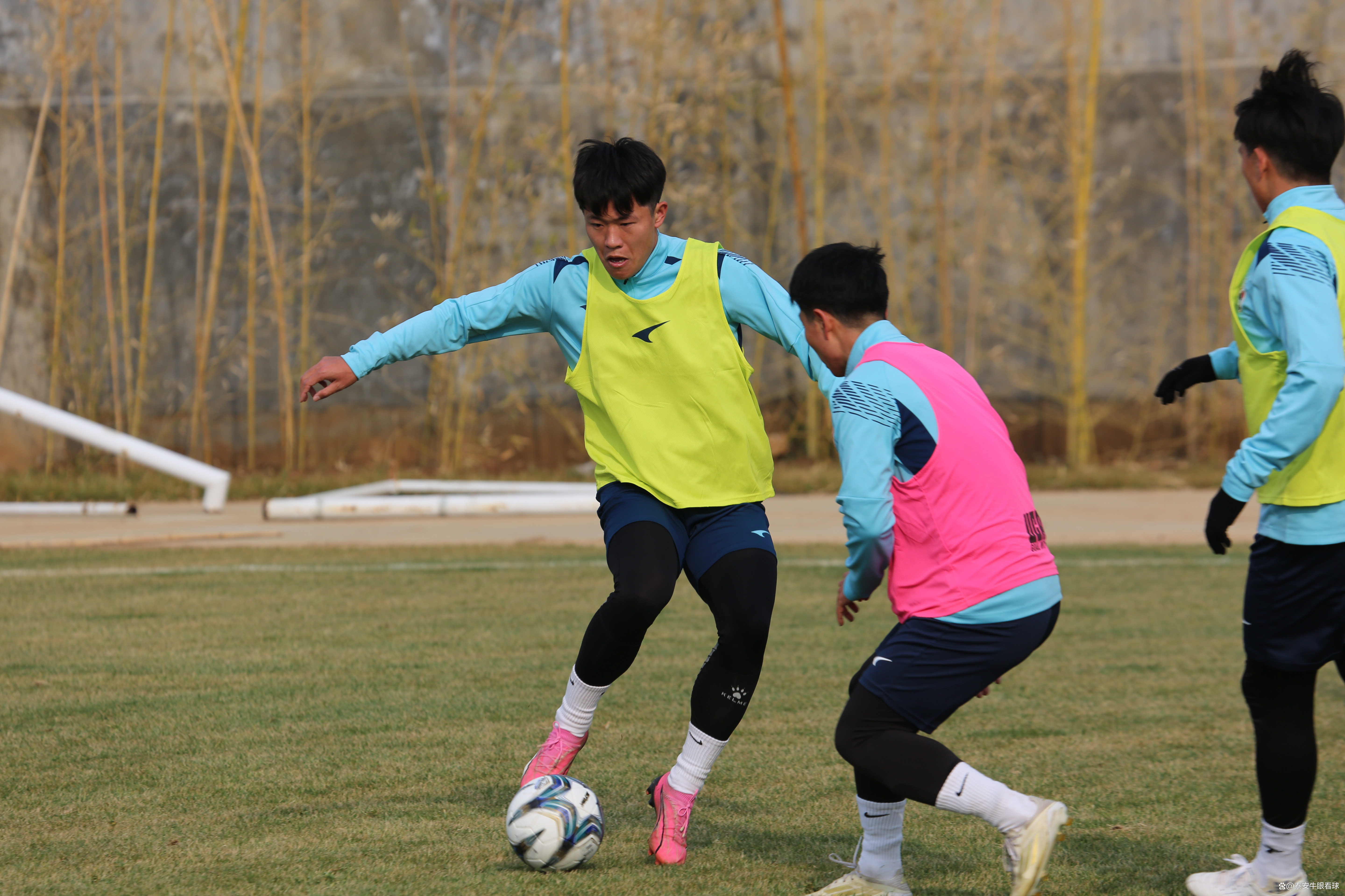 开云体育在线登录-关于新援助攻得手，球队连胜开门红的信息