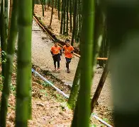 关于莫斯科斯巴达对战都灵,赛果悬念重重的信息 关于莫斯科斯巴达对战都灵,赛果悬念重重的信息