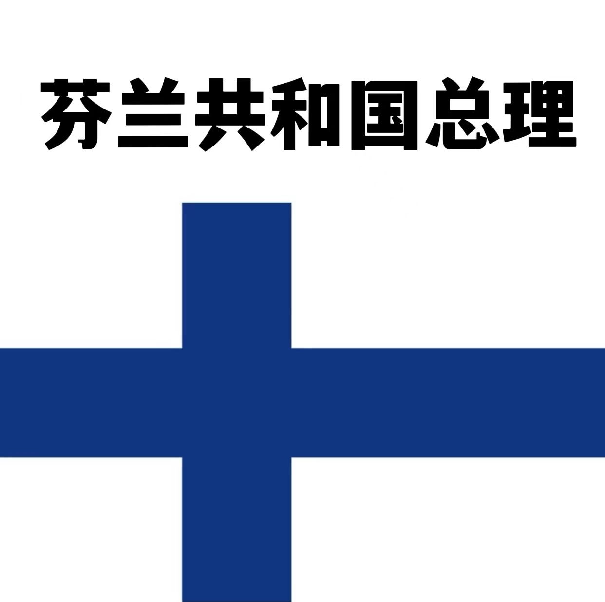 开云体育官网-芬兰战胜爱尔兰夺得胜利，士气高昂的简单介绍